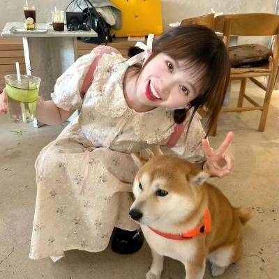 古惑狗天师 海报
