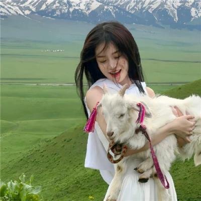 终止不幸 海报